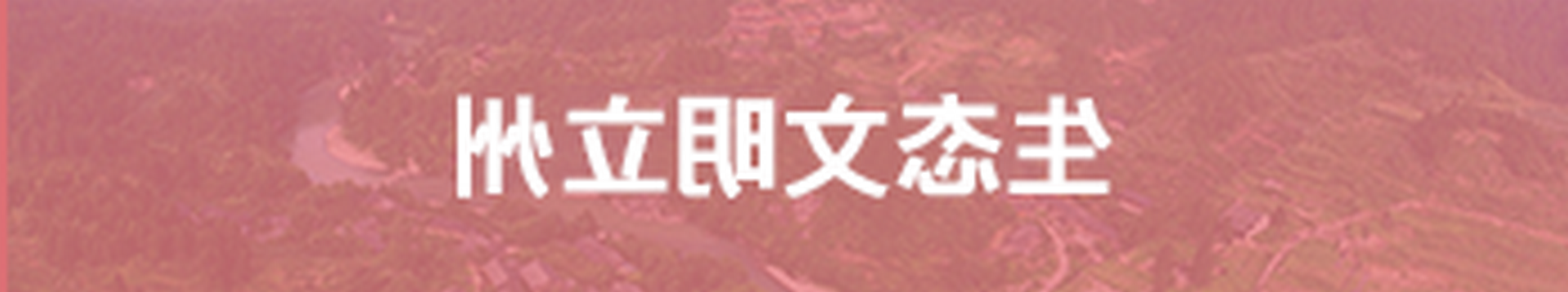 ̬